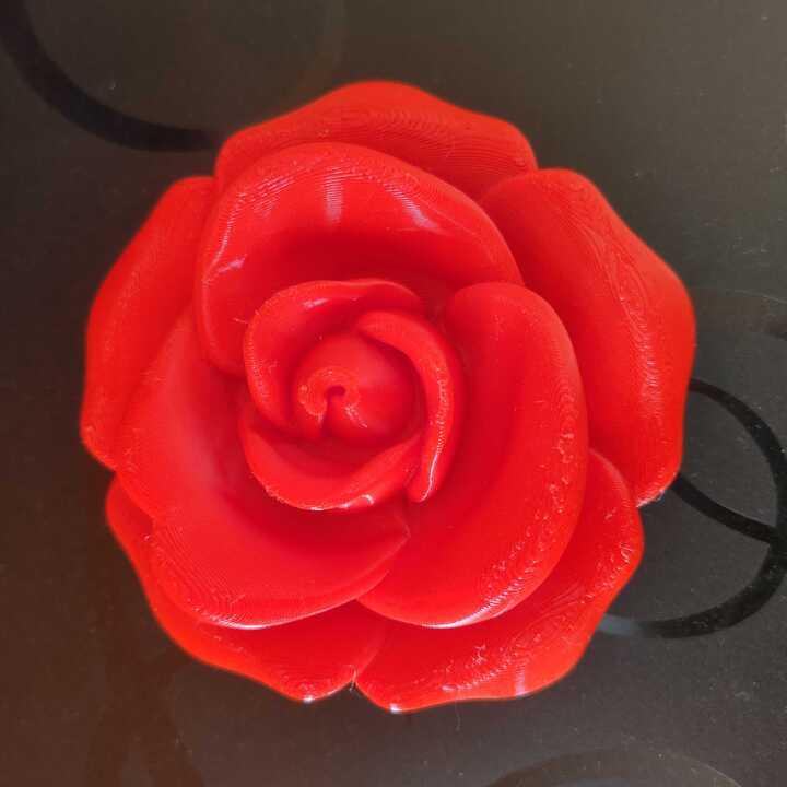 Floating Rose - Personalized Gifts by Modli 3D Private Limited 